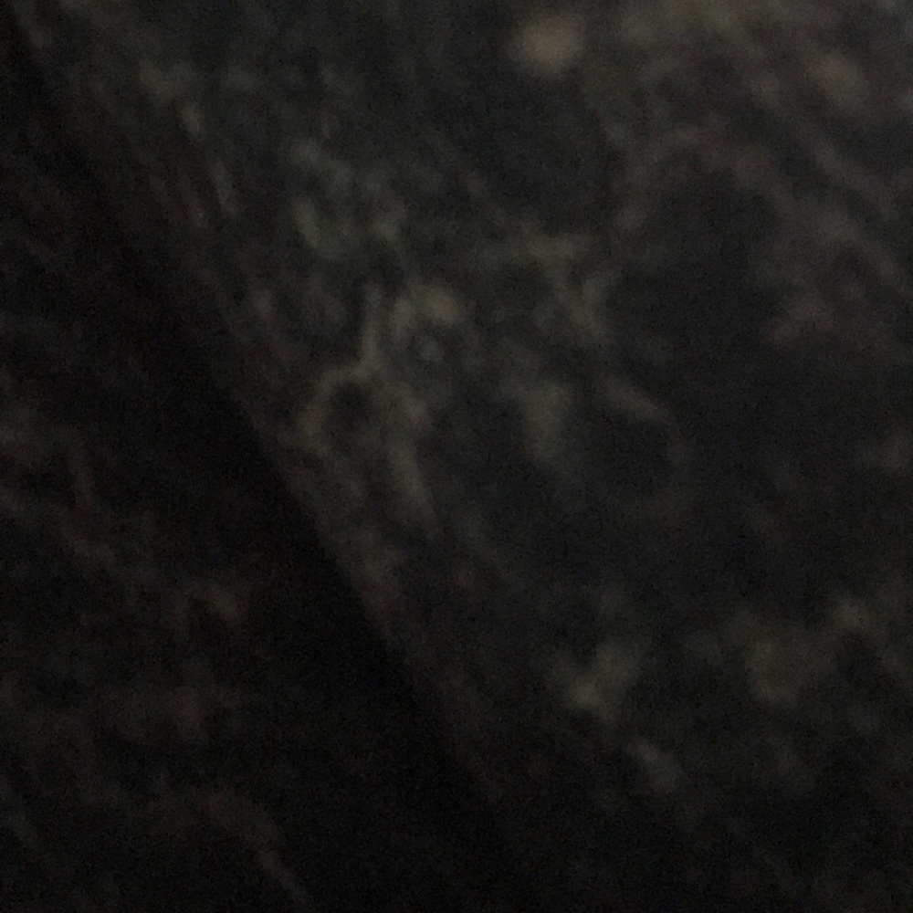 Meet your Posher, Nina